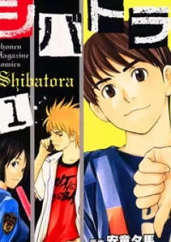 Shibatora